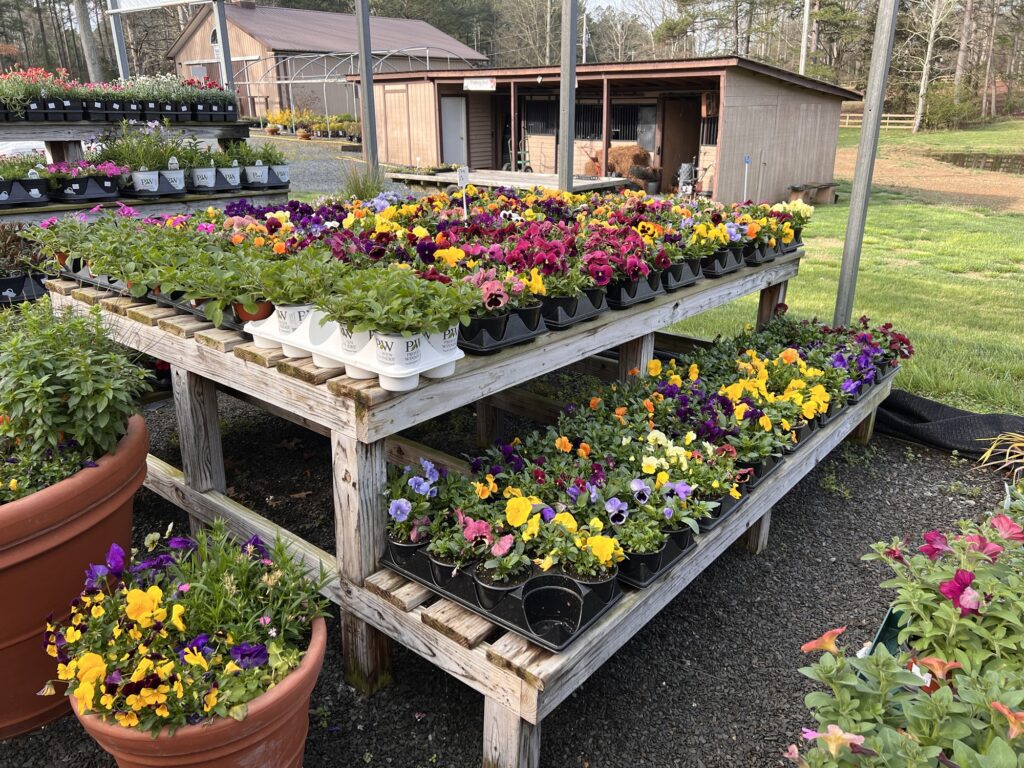 The Heart of Resilience: Building a Garden to Endure with Trusted Nurseries Near Worcestershire