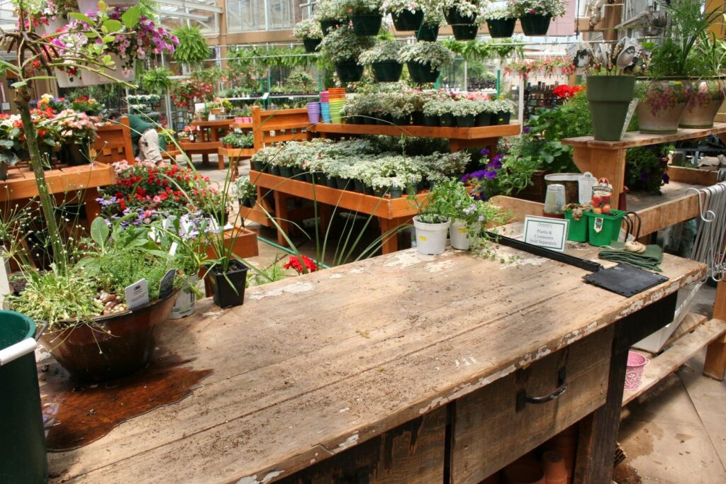Best Plant Nurseries Near Worcestershire for Healthy Gardens