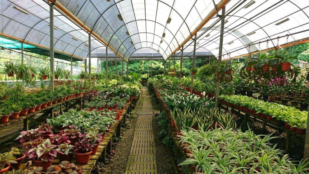 Top Plant Nurseries Near Warwickshire | Create Lasting Sustainable Gardens