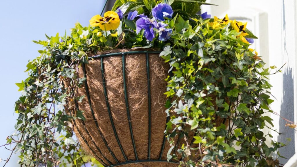 Bright Winter Gardens With Creative Hanging Basket Design Art