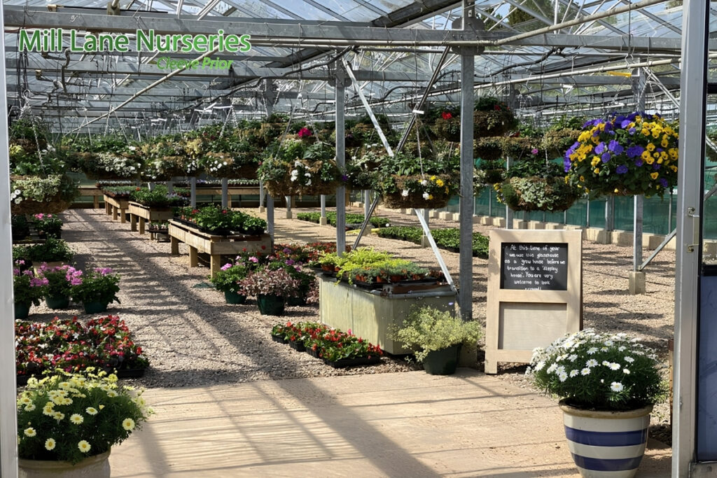 Green Legacies: Designing Eco-Conscious, Resilient Gardens