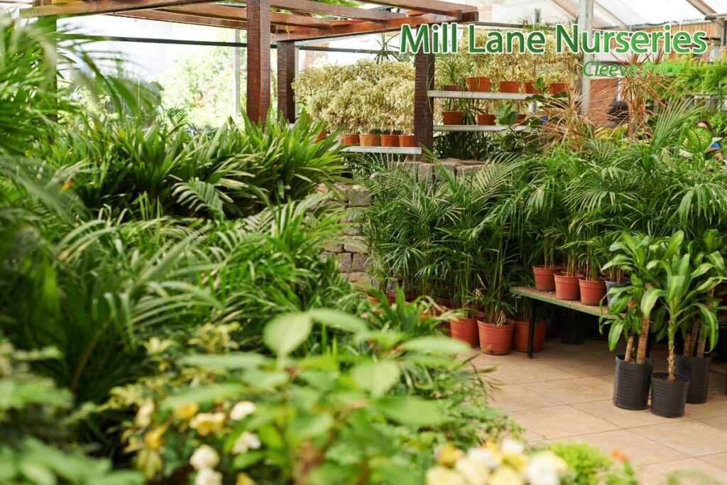 Green Legacies: Designing Eco-Conscious, Resilient Gardens
