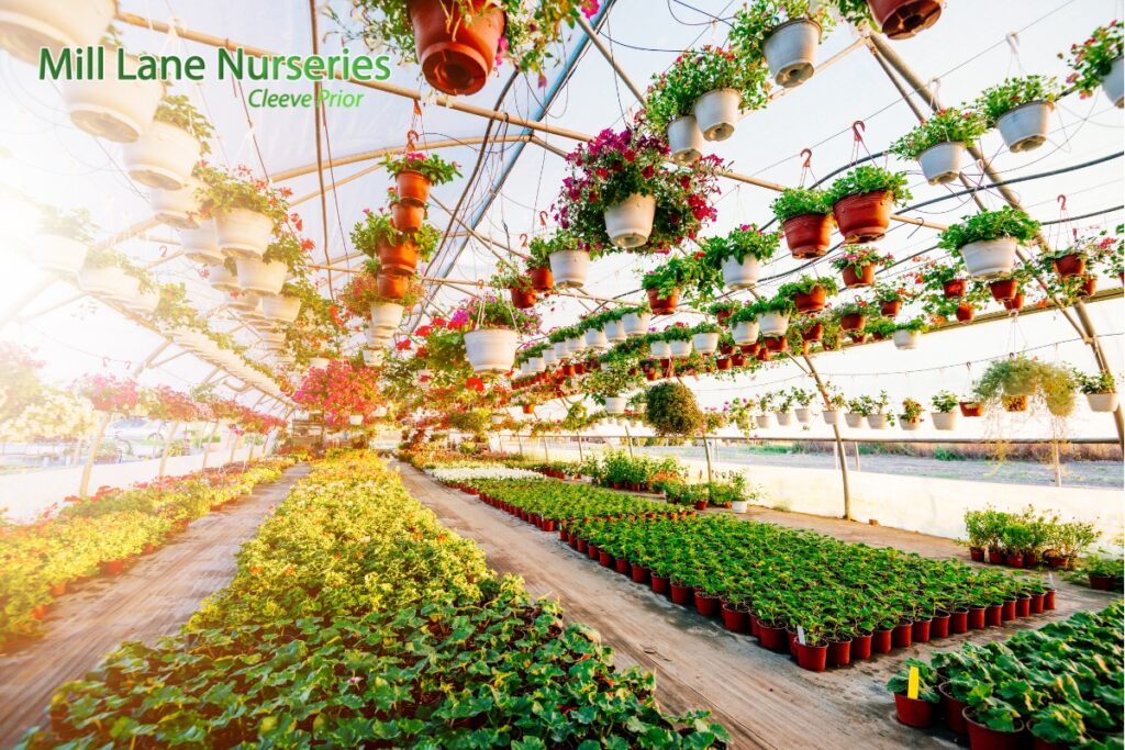 Rooted in Tomorrow: Crafting Resilient Green Sanctuaries for a Sustainable Future