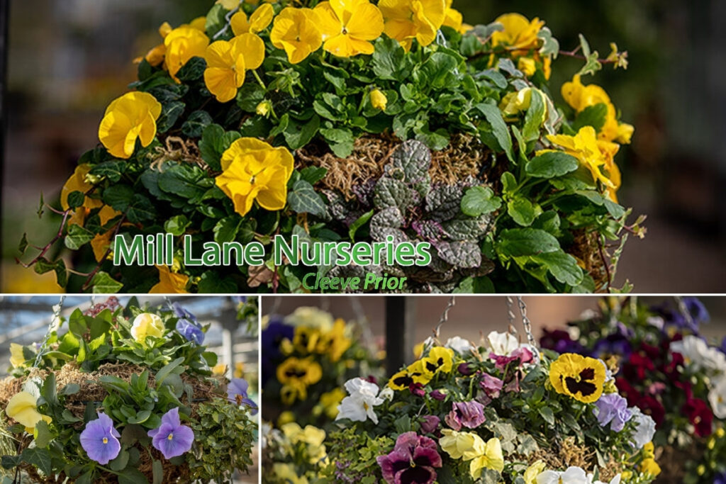 Frosted Blooms Forever: The Art of Creating Stunning Winter Floral Displays in Worcestershire